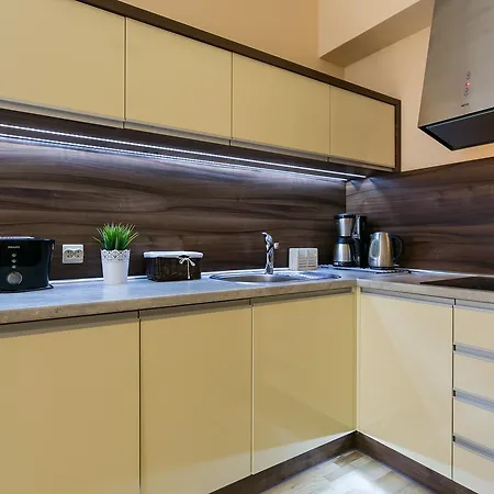 Vip Tetmajera Centrum 2 Апартаменты Закопане