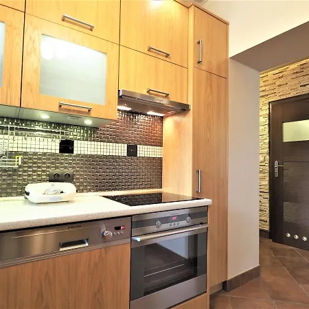 Vip Tetmajera Centrum 2 * Закопане