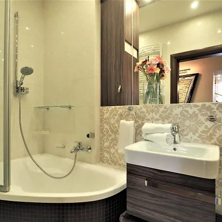 Vip Tetmajera Centrum 2 * Закопане