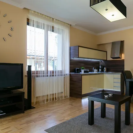 公寓 Vip Tetmajera Centrum 2