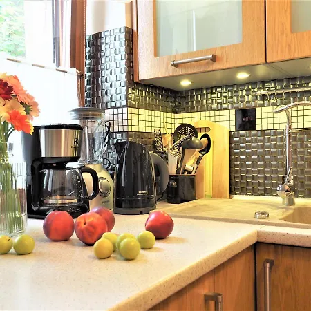 公寓 Vip Tetmajera Centrum 2 *